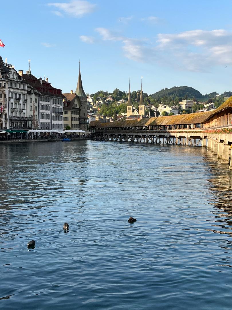 lucerne